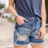 Denim Dan Shorts 1 Denim Dan Shorts -Fashion Clothing DenimDanShorts3