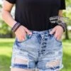 Jacksonville Jean Shorts 1 Jacksonville Jean Shorts -Fashion Clothing d7820b72 3699 4893 bbe7 d07583689603