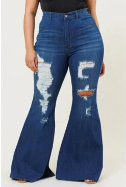 Plus Size High Rise Distressed Jeans